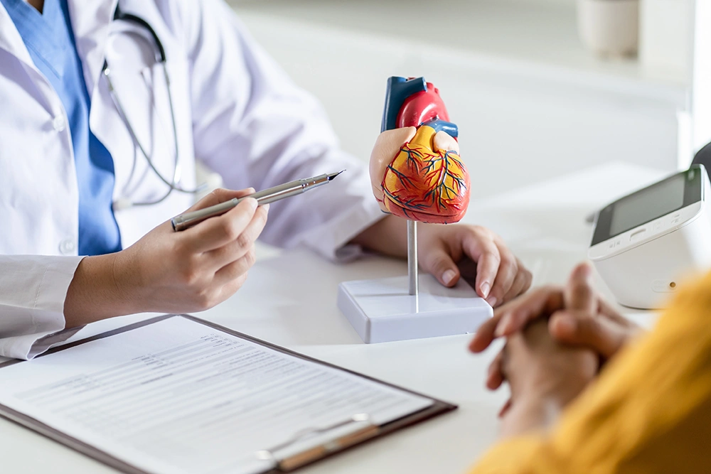 Cardiologist in consultation with a patient about heart disease, pointing to a heart model and explaining treatment options during a medical appointment.